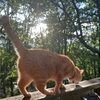 barbara_book